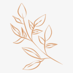 plants plants