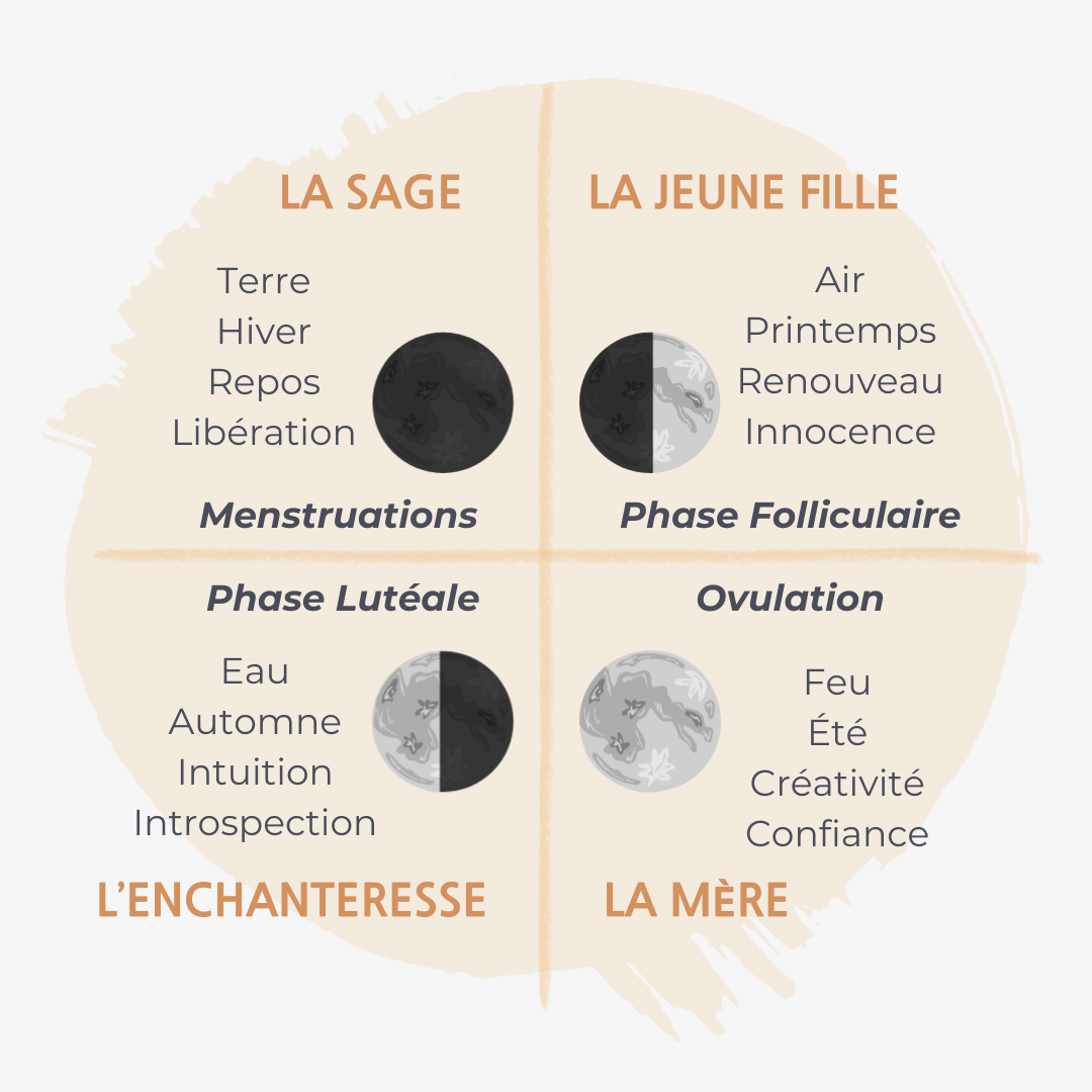 Cycle Féminin