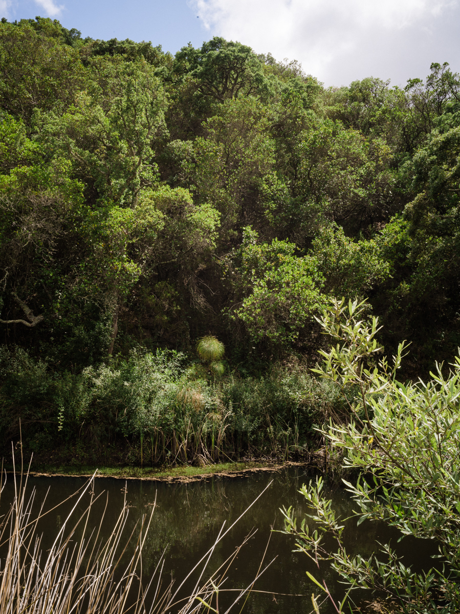 environnement-essencia-4