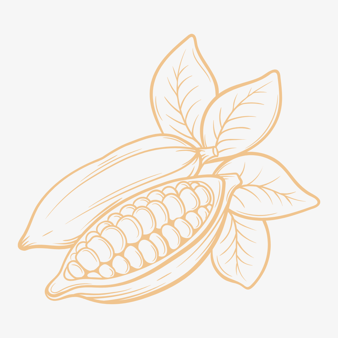 cacao-bresil-illustration